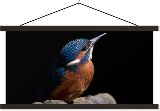 Porte-affiche avec affiche - Affiche scolaire - Martin-pêcheur - Branche - Ressorts - Zwart - 150x75 cm - Lattes noires