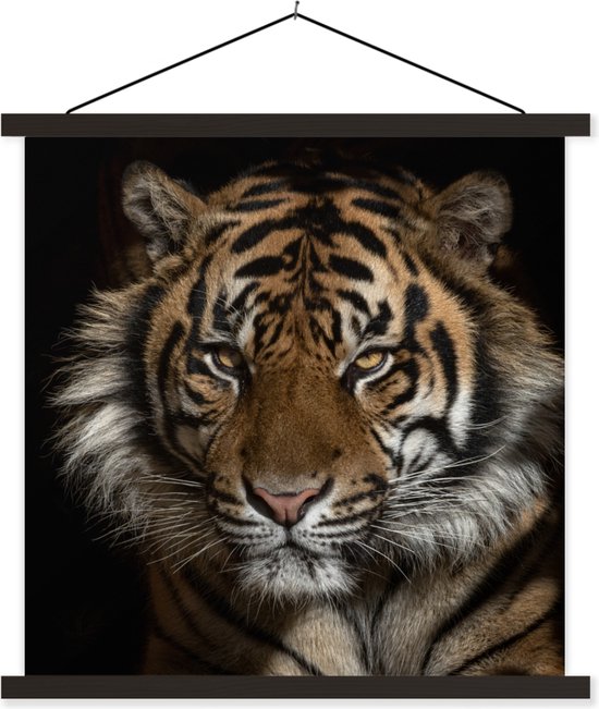 Porte-affiche avec affiche - Affiche scolaire - Tigre - Animaux sauvages - Portrait - 120x120 cm - Lattes noires