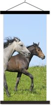 Support pour affiches avec affiche 40x80 cm - Affiche scolaire - Paarden - Animaux - Herbe - Affiche textile - Lattes noires