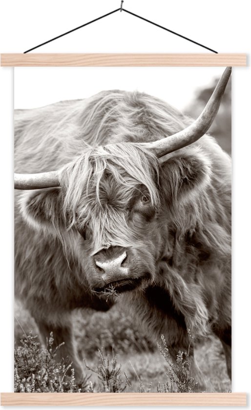 Close-up Scottish Highlander en affiche textielposter noir et blanc, lattes vierges 60x90 cm