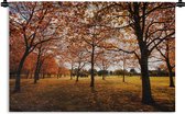 Tapisserie - Toile Murale - Automne - Feuilles d'Automne - Nature - 120x80 cm - Tapisserie