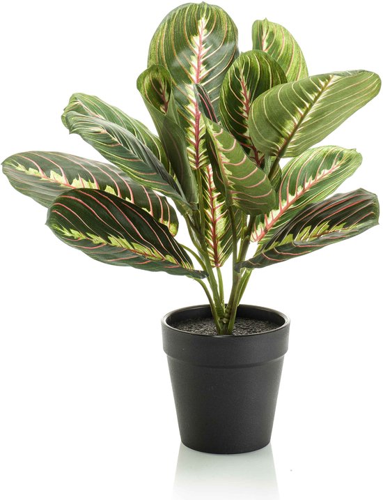 Emerald - Kunstplant in pot Maranta 30cm - Kunstplanten voor binnen