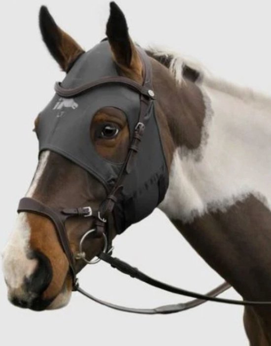 Zwart masker op een bruin-witte bonte pony met bruin lederen hoofdstel.