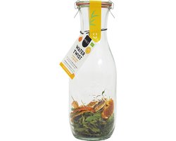 Pineut ® Verjaardag Cadeau Vrouw - Watertwist - Tafelwater Citrus, Munt & Verveine - Waterkaraf met deksel - Waterkan Glas 1L - Orginineel cadeau - Water met een smaakje - Hervulbaar - Gezond & Gezellig genieten