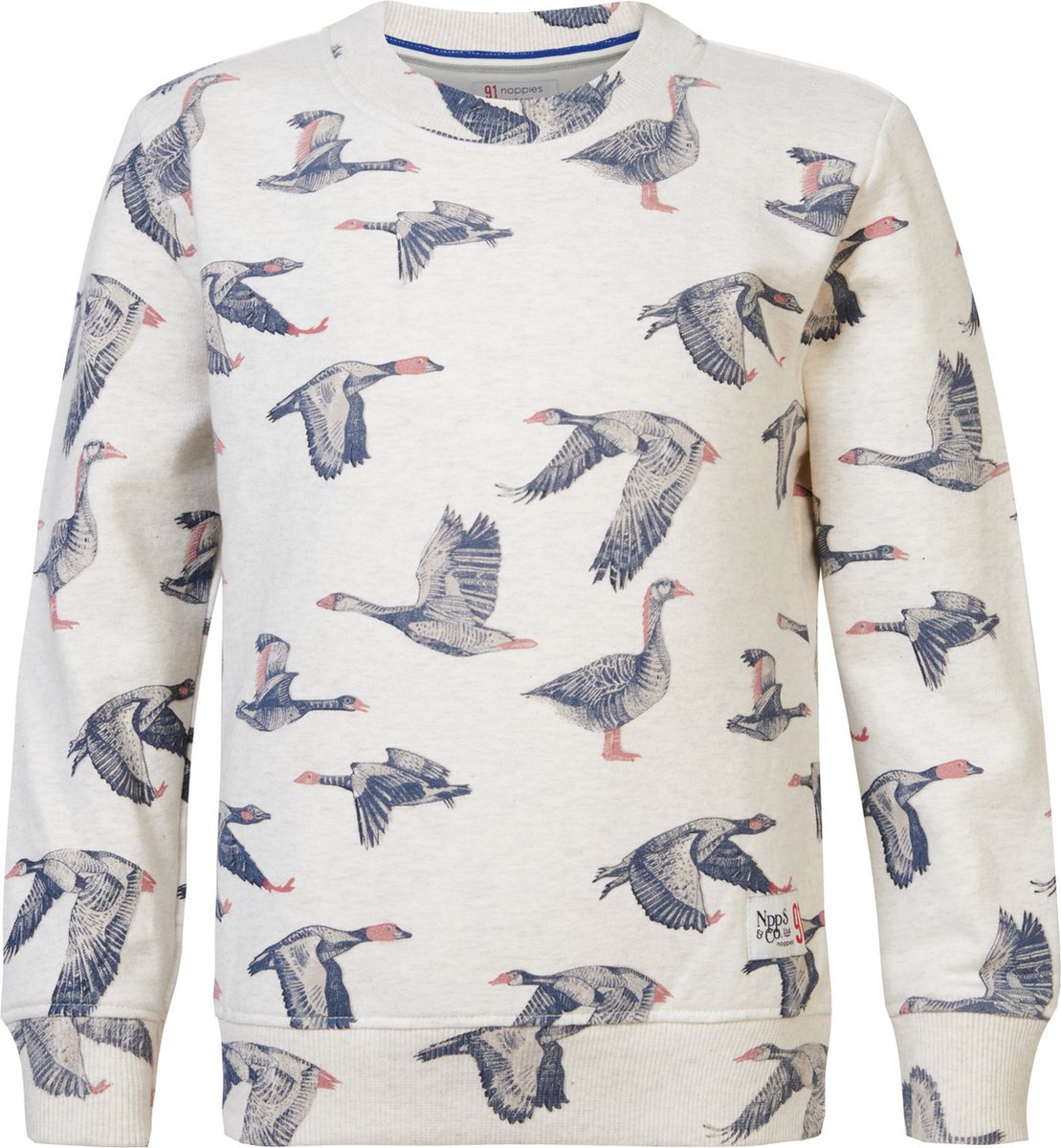 Noppies Jungen Sweater Deltona - Langarm Pullover Mit Vogelprint