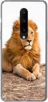 Geschikt voor OnePlus 7 Pro hoesje - Leeuw - Manen - Dier - Siliconen Telefoonhoesje