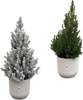 Kerstboom + Kerstboom met sneeuw inclusief elho Vibes Fold Round wit - Potmaat 22cm - Hoogte 60cm
