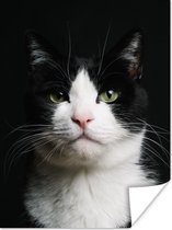 Zwart en witte kat van dichtbij 30x40 cm - klein - Foto print op Poster (wanddecoratie woonkamer / slaapkamer)