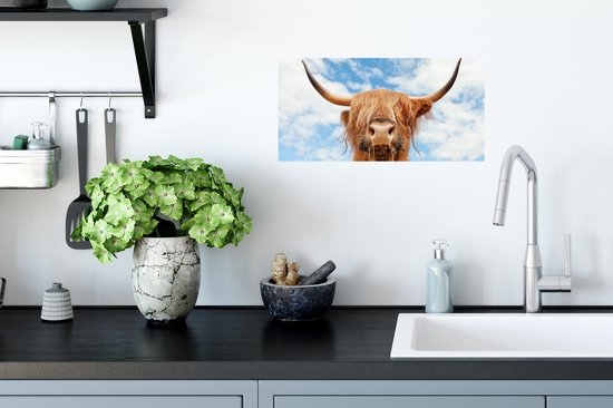 Affiche Highlander écossais - Nuage - Animaux - 40x20 cm