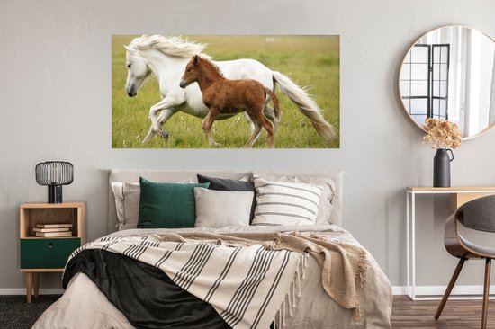 Affiche Paarden - Animaux - Herbe - 150x75 cm