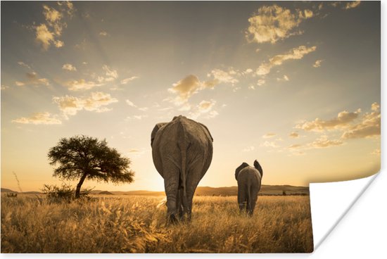 Olifant en kalf savanne Poster 60x40 cm - Foto print op Poster (wanddecoratie)