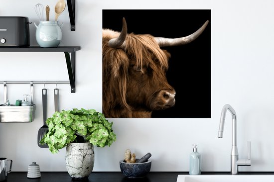 Affiche Highlander écossais - Animaux - Vache - 50x50 cm