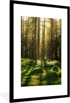 Fotolijst incl. Poster - Bomen - Bos - Mos - Planten - Zon - Natuur - 80x120 cm - Posterlijst