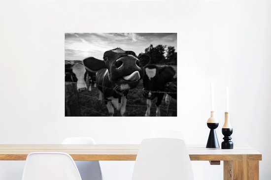 Poster Zwart - Wit - Vache - Animaux - 80x60 cm