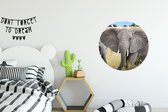 Wall Circle - Indoor Wall Circle - Les éléphants marchent d'un air menaçant vers la caméra - ⌀ 60 cm - Décoration murale - Peintures ronds