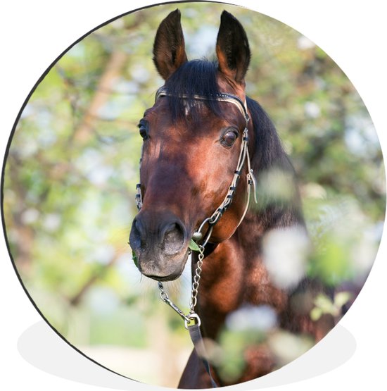 WallCircle - Wandcirkel - Muurcirkel - Paarden - Bloesem - Lente - Dieren - Aluminium - Dibond - ⌀ 140 cm - Binnen en Buiten