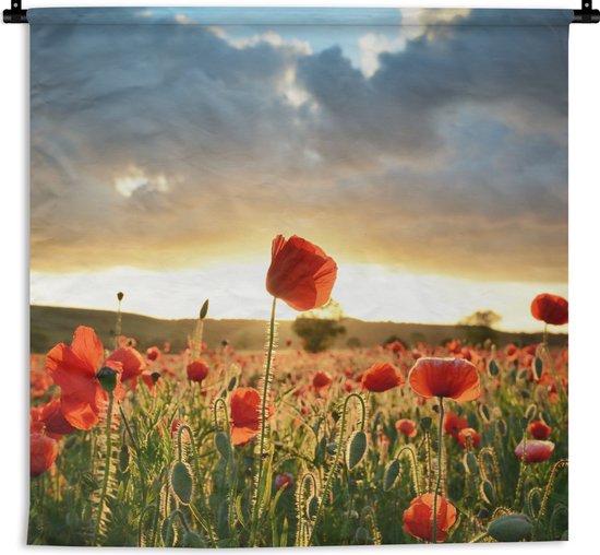 Tenture murale - Tissu mural - Ciel coloré au-dessus de nombreux coquelicots - 150x150 cm - Tapisserie murale