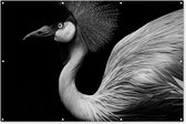 Muurdecoratie Kraanvogel - Zwart - Wit - Vogel - Dieren - 180x120 cm - Tuinposter - Tuindoek - Buitenposter