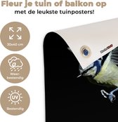 Tuin decoratie Vogels - Veren - Zwart - 30x40 cm - Tuindoek - Buitenposter