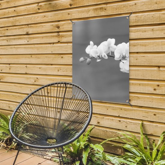 Tableau jardin Orchidée - Fleurs - Plante - Wit - Violet - 60x80 cm - Affiche jardin - Toile jardin - Affiche extérieur