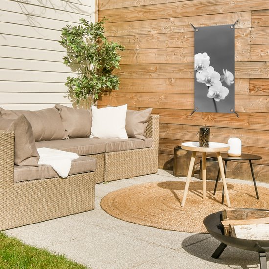 Poster de jardin Orchidée - Fleurs - Plante - Wit - Violet - 30x60 cm - Toile jardin - Poster extérieur