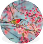 Cercle Mural - Cercle Mural Intérieur - Vogel - Sakura - Couleurs - ⌀ 30 cm - Décoration murale - Peintures Ronds