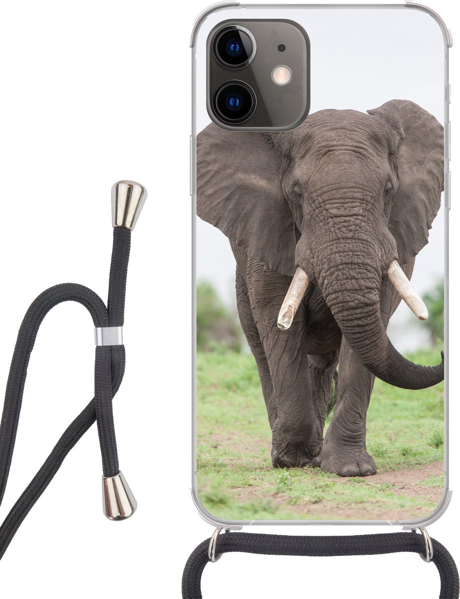 Telefoonhoesje Geschikt voor iPhone 11 - Olifant - Dieren - Gras - Natuur - Siliconen - Crossbody - Backcover met Koord - Telefoonhoesje met koord - Hoesje met touw Telefoonhoesje