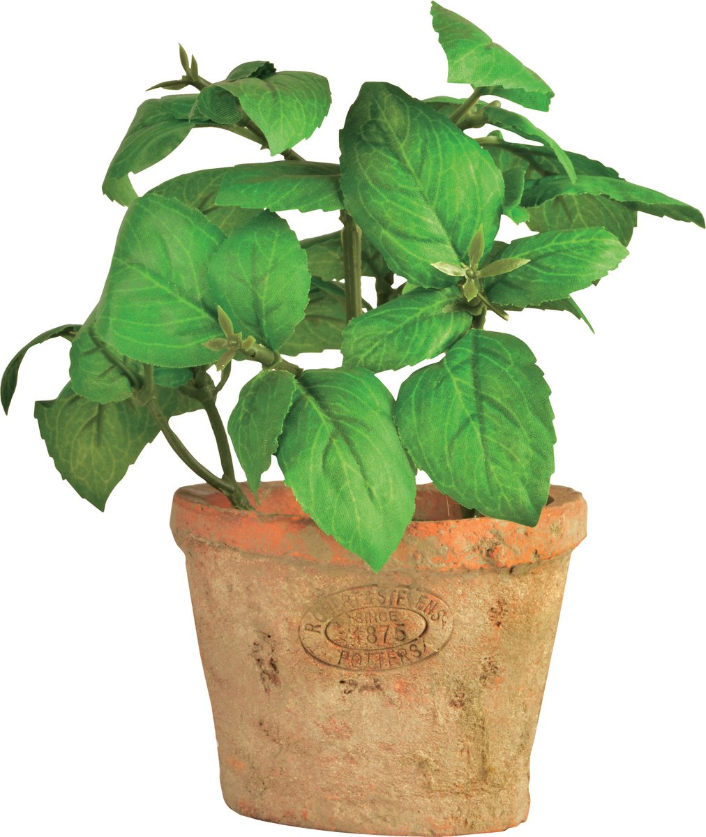Esschert Design Kunstplant/kruiden basilicum - in oude terracotta pot - 15 cm - kruiden