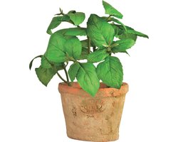 Esschert Design Kunstplant/kruiden basilicum - in oude terracotta pot - 15 cm - kruiden