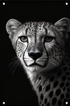 Tuinposter cheeta - Zwart wit posters - Posters dieren - Wanddecoratie tuin - Schutting poster - Muurdecoratie - 100 x 150 cm