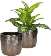 DK Design Bloempot/plantenpot - 2x - multi kleur - voor kamerplant - D16 x H14 cm