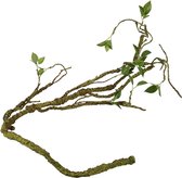 Terra Della - Natuurlijke Decoratie - Reptielen - Plantentak Dik 110cm Groen - 1st
