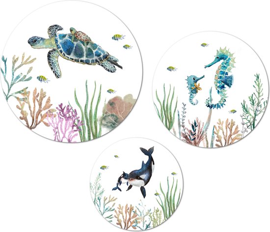 Muurcirkel / Wandcirkel zeedieren colourful sea life groot - set van 3 muurcirkels + ophangsysteem - Decoratie kinderkamer / babykamer jongens & meisjes