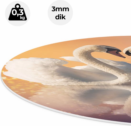 Artaza Forex Cercle Mural Cygnes Couple en Forme de Coeur - 40x40 cm - Klein - Cercle Mural - Peinture Ronde - Cercle de Décoration murale