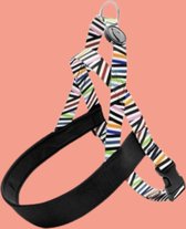 Morso - Harnais pour chien norvégien : Incident des spaghettis recyclés