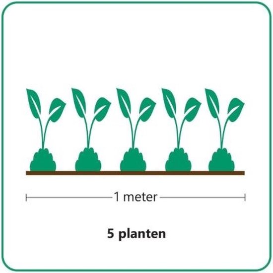 Illustratie van 5 jonge planten geplant over een afstand van 1 meter.