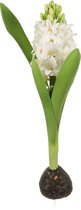 Viv! Home Luxuries Hyacint - bloembol - zijden bloem - wit - 35cm