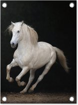 Tuin decoratie Paarden - Zwart - Portret - 30x40 cm - Tuindoek - Buitenposter