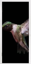 Deursticker Kolibrie - Vogel - Veren - 75x205 cm - Deurposter