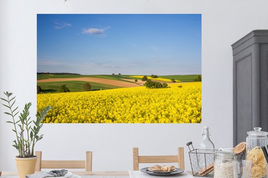 Stickers muraux - Printemps - Fleurs - Jaune - 120x80 cm - Film Adhésif