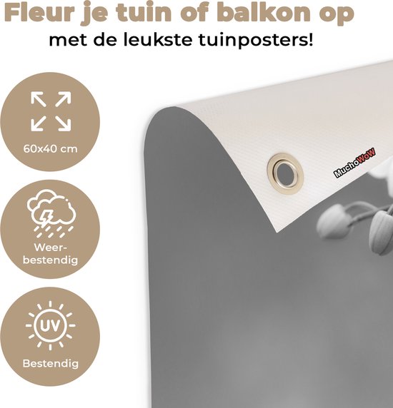 Décoration de jardin Orchidée - Fleurs - Plante - Wit - Violet - 60x40 cm - Poster jardin - Toile jardin - Poster extérieur