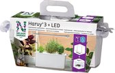 Nelson Garden Harvy® 3 hydrocultuursysteem voor drie Planten - Komplete Starter Set inklusief Led Lamp en Lamp-Ophangsysteem, Plantenvoeding en Basilicum en Sla Zaden