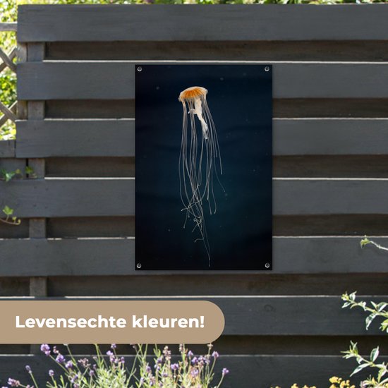 Méduse sur fond sombre affiche de jardin toile en vrac 60x90 cm - Toile de jardin / Toile d'extérieur / Peintures pour l'extérieur (décoration de jardin)