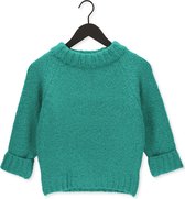 Penn & Ink Pullover 3/4 Truien & vesten Dames - Sweater - Hoodie - Vest- Groen - Maat M