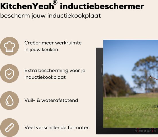 KitchenYeah® Inductie beschermer 81x52 cm - Een border collie met een stok in de mond - Kookplaataccessoires - Afdekplaat voor kookplaat - Inductiebeschermer - Inductiemat - Inductieplaat mat