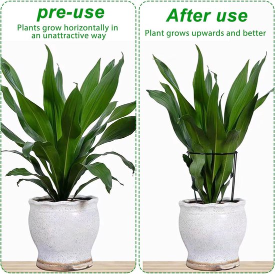 10 Stuks Plantensteunen 60 Cm Hoog – Dikke 5 Mm Draad, Halfrond 30 Cm, Voor Pioenrozen, Rozen, Tomaten