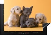 KitchenYeah® Inductie beschermer 78x52 cm - Puppy - Kitten - Dieren - Kookplaataccessoires - Afdekplaat voor kookplaat - Inductiebeschermer - Inductiemat - Inductieplaat mat
