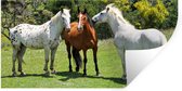 Muurstickers - Sticker Folie - Paarden - Boom - Schaduw - 80x40 cm - Plakfolie - Muurstickers Kinderkamer - Zelfklevend Behang - Zelfklevend behangpapier - Stickerfolie