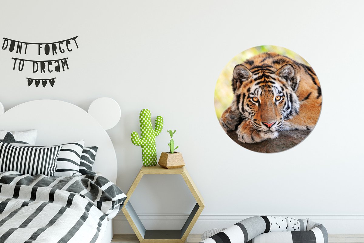 WallCircle® - Behangcirkel 50x50 cm - Muurstickers Tijger - Pup - Boomstam - Muurcirkel wo