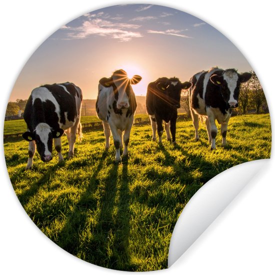 WallCircle - Muurstickers - Behangcirkel - Koeien - Zon - Gras - Dieren - Boerderij - 100x100 cm - Muurcirkel - Zelfklevend - Ronde Behangsticker XXL